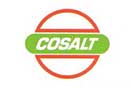 Cosalt